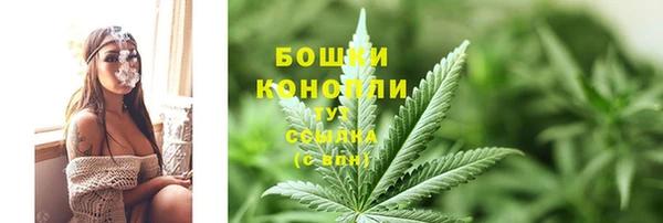 mdpv Гусев