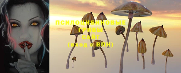 кокаин Гусь-Хрустальный