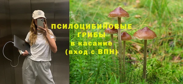 кокаин Гусь-Хрустальный